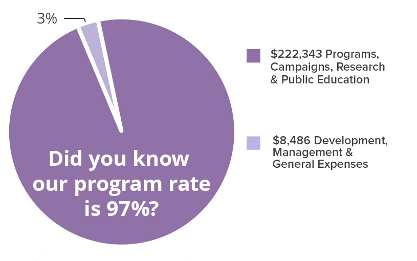 Finances pie chart