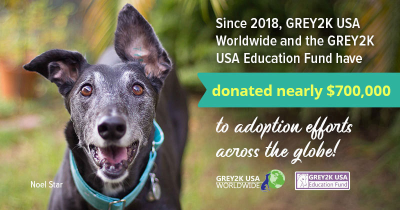 GREY2K supports greyhound adoption